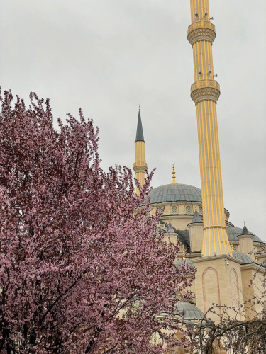 Слова, которые Аллах любит больше всего