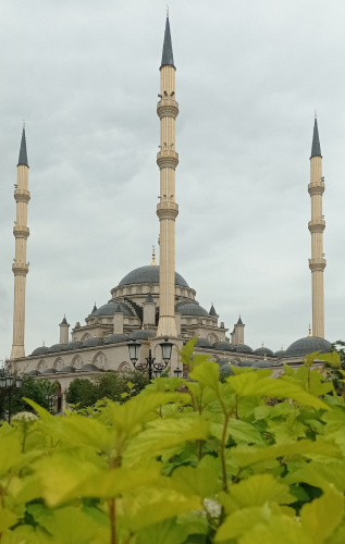 Пророк ﷺ говорил: «Я и попечитель сироты близки друг к другу, как два этих пальца»